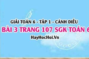 Giải bài 3 trang 107 Toán 6 Tập 1 SGK Cánh Diều
